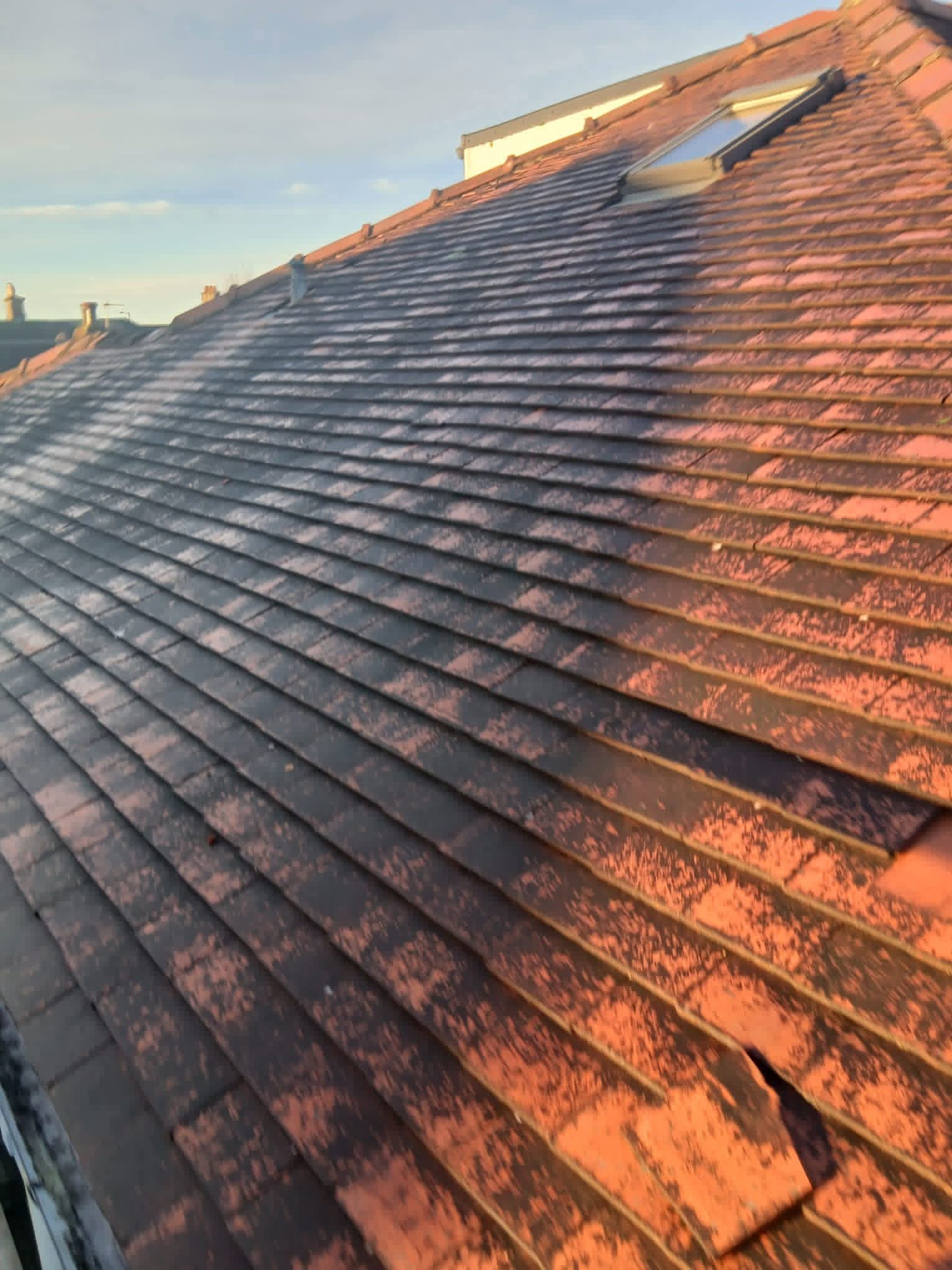 Roof Restoration & Repair - Before